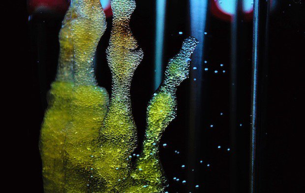 Antleron's "living therapy factory" turns cells into personalised therapies