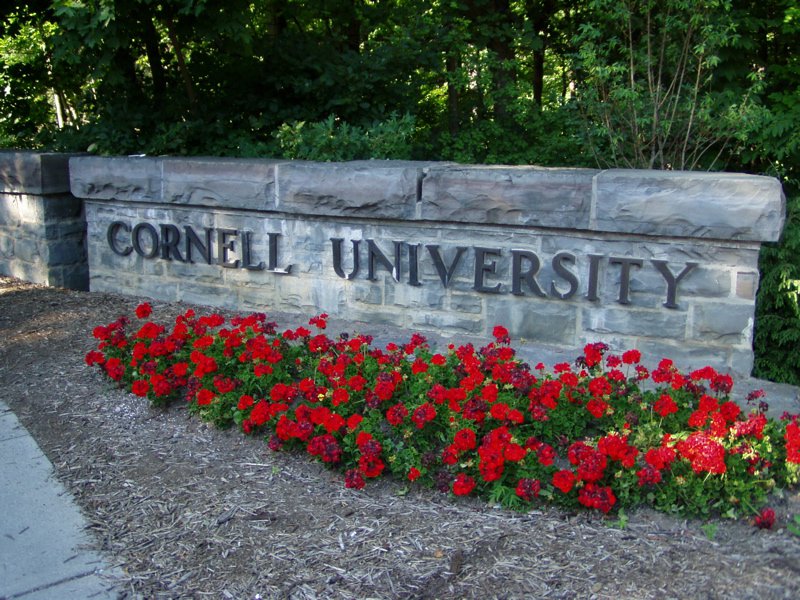 Cornell University - Jeffrey M Vinocur, via Wikimedia Commons