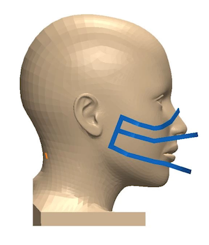 Face mask choir - Varia 3D