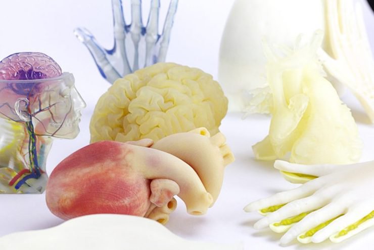 Stratasys J750 Digital Anatomy