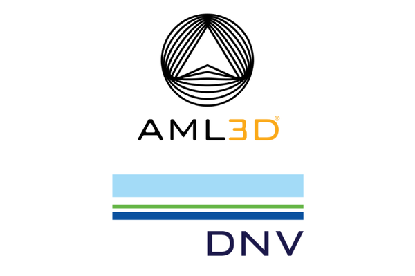 AML3D and DNV