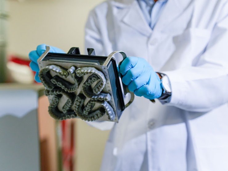 Formlabs/Modern Clear