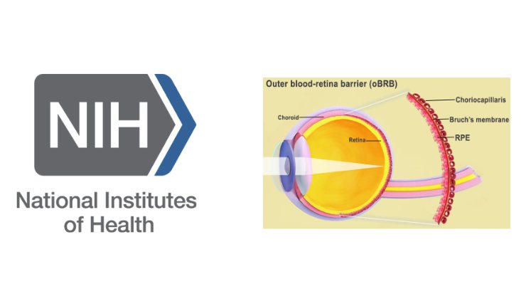 National Institutes of Health