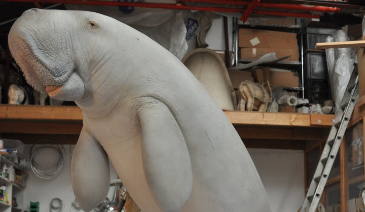 The 3D printed dugong in Hunt's studio - Jeremy Hunt Design/Ogle Models and Prototypes