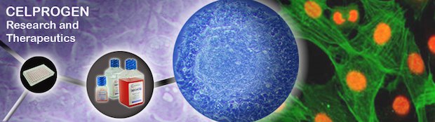 Celprogen Inc      Since its foundation in 2002, Celprogen Inc has been committed to proficient research in the stem cell field. - Celprogen Inc