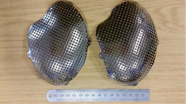 Renishaw's Polished cranial plates      Renishaw's Polished cranial plates