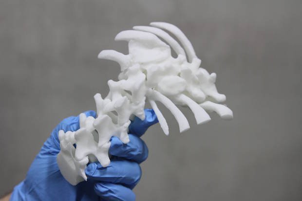 3D LifePrints spine-in-hand