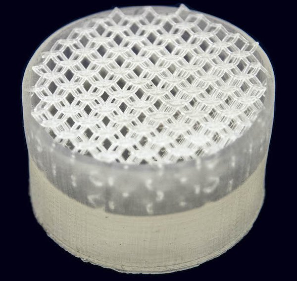 Printed Lattice With Solid Base.jpg