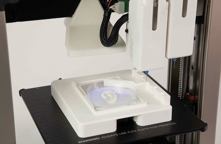 3D BIOprinter with print.png