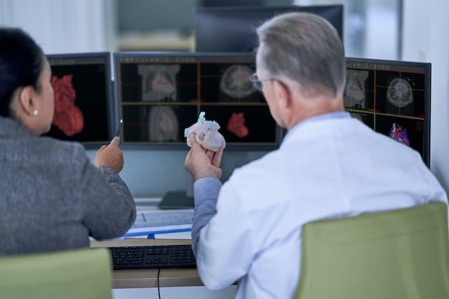 29.2 Healthcare surgeon and radiologist discussing heart model (1).jpg