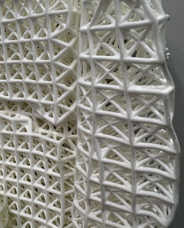 FreeFoam close up showing variable lattice densities