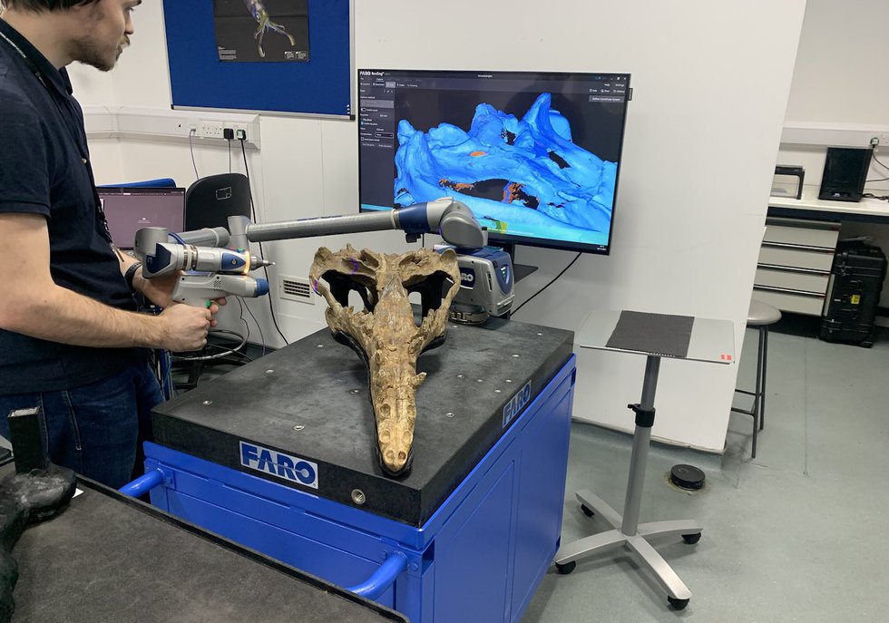 Tom Ranson 3D scans a large specmen inside the Natural History Museum's 3D Visualisation Lab