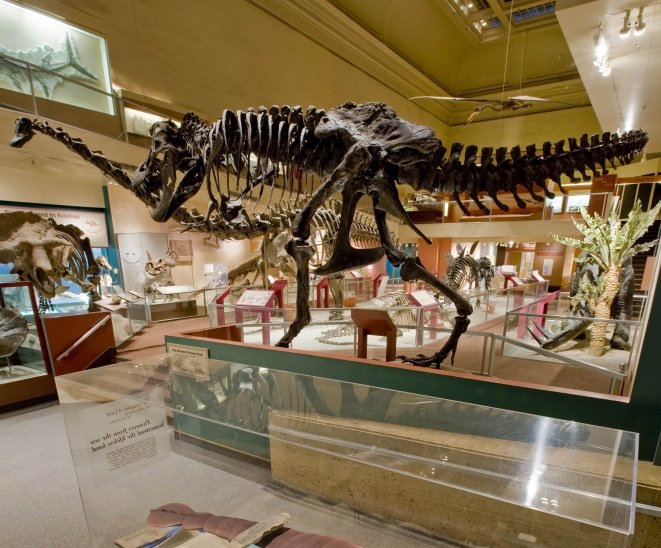 Smithsonian dinosaur hall