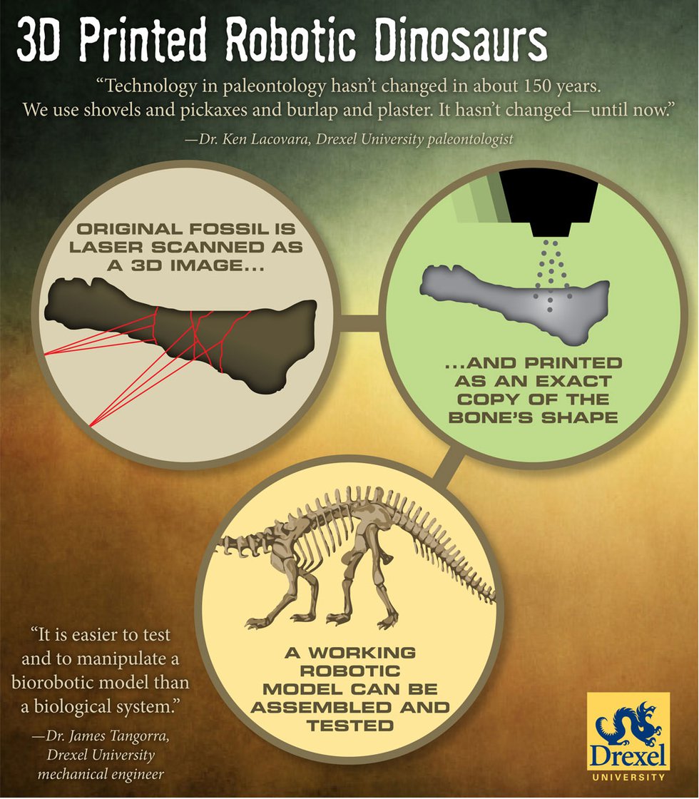 Drexel Uni Dino 3D Print Infographic
