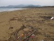 Taiwanese beaches are littered with plastic beverage cups