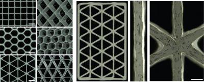 Variety of 3D-printed Honeycomb Structures