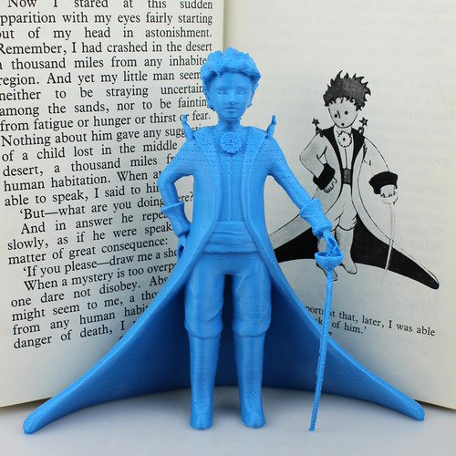 The Little Prince 3D Printed