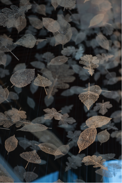 leaves-3d.png