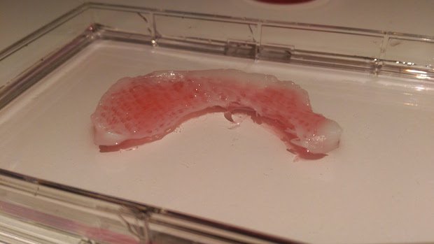 3D4Makers 3D printed tissue